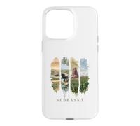 USA State Buffalo Windmills Vacation Nebraska Case for iPhone 15 Pro Max