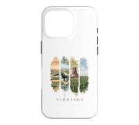 USA State Buffalo Windmills Vacation Nebraska Case for iPhone 16 Pro