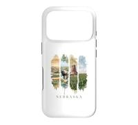 USA State Buffalo Windmills Vacation Nebraska Case for iPhone 17 Pro
