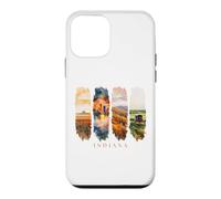 USA State Cornfields City Skyline Vacation Indiana Case for iPhone 12 mini