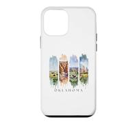 USA State Prairies, Red Canyons Vacation Oklahoma Case for iPhone 12 mini