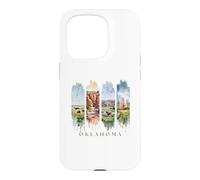 USA State Prairies, Red Canyons Vacation Oklahoma Case for iPhone 15 Pro