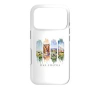 USA State Prairies, Red Canyons Vacation Oklahoma Case for iPhone 17 Pro