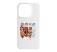 USA State Red Rock Canyons Vacation Utah Case for iPhone 14 Pro