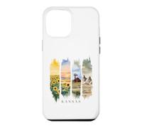 USA State Sunflowers Rock Formations Vacation Kansas Case for iPhone 12 Pro Max