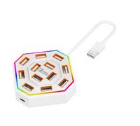 USB 2.0 Hub for Desks, 13 Port Layout with 10 USB a, 3 Type C Data Ports, Daily Device Use Hub Splitter Multi Port Desktop Laptop C Data Keyboard Storage Drive Desk Use