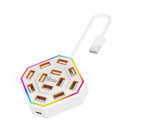 USB 2.0 Hub for Desks, 13 Port Layout with 10 USB a, 3 Type C Data Ports, Daily Device Use Hub Splitter Multi Port Desktop Laptop C Data Keyboard Storage Drive Desk Use