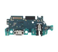 USB-C Recharge Connector for A25 5G, Microphone & Headphone Jack
