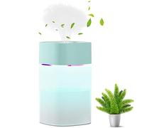 USB Mini Ultrasonic Cool Mist Desk Humidifier - 400ml, Perfect for Indoor Plants & Serene Environment