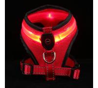 USB Rechargeable LED Dog Vest with Nylon Breathable Mesh for Night Walks | Three Lighting Modes, Push Button Control, Visible Roadside Wear, Includes Charging Cable, Suitable for Small Pets