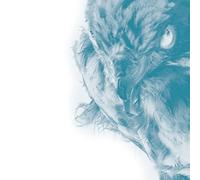 Use of Ashes - Ice [VINYL]