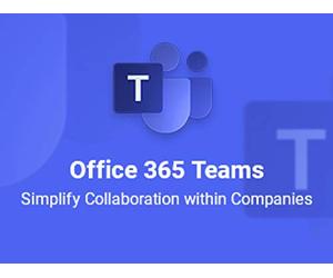 Use the Teams window to structure your organization