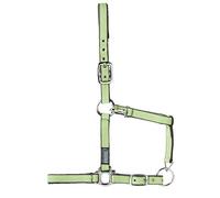 USG Halter with Silver Fittings/ Soft Padded, Pony, Black/ Orange