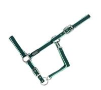 USG Halter with Silver Fittings/ Soft Padded, Pony, Dark Green/ Light Green