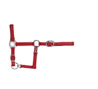 USG Halter with Silver Fittings/ Soft Padded, Pony, Red