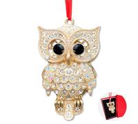 Ushinemi Owl Ornaments for Christmas Tree, 2024 Owl Hanging Ornament for Tree Decor, Sparkles Keepsake Gifts for Mom Grandma Women Girls Sisters - A
