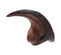 USHOBE Realistic Resin Monolophosaurus Dinosaur Claw Teaching Display Model with Scientific Accuracy for Dinosaur Skeleton Collections and Museum Exhibitions, Educational Hand Skeleton