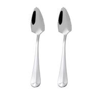 USHXVG 2 Pieces Grapefruit Spoon, Sharp Spoon, Kiwi Spoon, Stainless Steel Spoon, Dessert Spoon, Spatula, Serrated Spoon, Fruit Spoon (Silver)