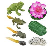 USHXVG 5 Pieces Frog Life Cycle Model with 1 Lotus Leaf Model and 1 Lotus Flower Model, Frog Growth Cycle Toy, Simulation Animal Model, Educational Teaching Tool