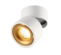 USMCPQVXN Adjustable Ceiling Spotlight Led Flush Mount Accent Spot Lighting Fixture Gallery Picture Lights Artwork Display Spot Lamps, Directional Spotlights for Living Room Hallway/White3000K/7W