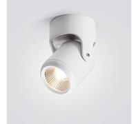 USMCPQVXN Adjustable Led Ceiling Spotlight Ceiling Mount Lighting Fixtures, Warm White Rotatable Wall Lights Spotlights, Surface Mounted Accent Spot Light, 24° Beam Angle Wall Lights/White10W