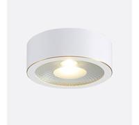 USMCPQVXN Led Ceiling Spotlight Surface Mounted Corridor Downlight 3W,5W,7W,9W White Brass Spot Light Fixture, Cri90 for Closet, Hallway, Kitchen, Basement Lighting/3000K/3W