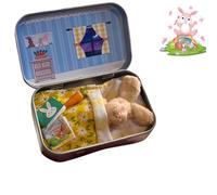 USMEI Bunnies in Tin Box, Easter Little Pocket Bunny, DIY Pet Tin Bunny Adoption, Mini Plush House Easters Baskets Decorative Boxes (#08)