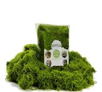 USMOLA 3.5OZ Fake Moss for Plants Indoor - Artificial Moss for Table Centerpieces, Fairy Gardens, Terrariums - Realistic Faux Grass for Wedding Christmas Party Decor (Light Green)