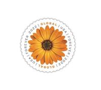 USPS African Daisy 2022 (Sheet of 10) International Mail Global Postage Forever Stamps Scott #5680