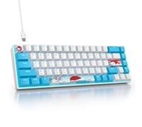 Ussixchare 65 Percent Mechanical Gaming Keyboard 65% Portable Keyboard 68 Keys Compact Wired Keyboard RGB Backlit for PC Laptop Gamer(68 Sea/Blue Switch)
