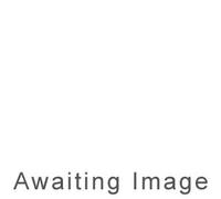 Ustad Ali Ahmad Hussain Khan Shehna - Divine Inspirations, Shehnai & Saro