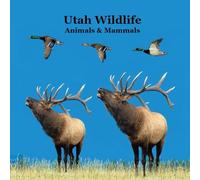 Utah Animals and Mammals Kids Wildlife Book: Great Wildlife Book about Animals and Mammals in Utah