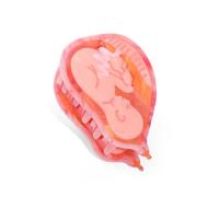 Uterus Shape Hair Claw Clip with Baby and Umbilical Cord - Unique Novelty Hair Grip Gift for Mums, Midwives