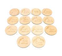 UTHCLO 14pcs Monthly Milestone Marker Wooden Discs Photo Props for Newborns Unisex Growth Recording Announcement Plaque Keepsake