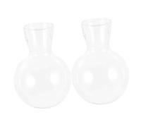 UTHCLO 2pcs High Borosilicate Glass Bulb Vase for Indoor Plant Terrarium Decoration Versatile Plant Vase for Home Office Garden Wedding Display Transparent Glass Planter