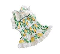 UTHCLO Adorable Lace Dog Dress for Small Dogs and Cats Lightweight Summer Puppy Clothes Washable and Portable Pet Outfit Charming Sleeveless Puppy Dress for Spring and Costume Parties