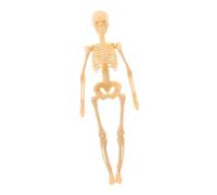 UTHCLO Anatomical Human Skeleton Model Kit for Educational Use Realistic Plastic Full-body Skeleton Action Figure with Movable Joints Easy DIY Assembly Teaching Aid for Medical and