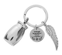 UTHCLO Ash Key Pendant Urn Key Pendant Accommodates Small Pet Ashes Smooth Surface Stainless Steel Silver Mini Urn Memorial Keychain for Memorable Place Family Pet Loving Friends