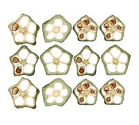 UTHCLO Dried Pressed Okra Slices Lightweight Plant Material and Vivid Appearance 12pcs for DIY Craft Material with Shiny Textured Effect for Nail Art and Resin Jewelry Making