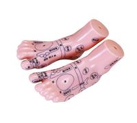 UTHCLO Foot Acupuncture Model with Accurate Reflex Zone Display, Compact and Portable Pvc Foot Reflexology Model for Educational Use and Reflexology Training