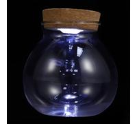 UTHCLO Glass Bottle with LED White Light Ecological Fish Tank Micro Landscape DIY Bottle for Home Gardening Terrarium with Lid and Moss Craft Decoration