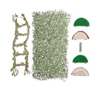 UTHCLO Jumping Spider Enclosure Decoration with Stable Fastener Mesh Climbing Wooden Ledge for Multi-directional Activity and Shelter in Spider Habitat