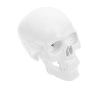 UTHCLO Mini Human Skull Model Plastic Anatomy Skeleton with Removable Caps and Movable Jaw for Teaching and Halloween Decoration Realistic Design for Study and Display