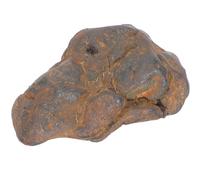UTHCLO Olive Meteorite Specimen 2-3Cm Authentic Iron Meteorite Model Educational Desktop Ornament Decor for Science Learning and