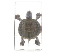 UTHCLO Resin Tortoise Specimen Figurine Educational Scientific Turtle Statue Home Decor Small Minimalist Ornament for Garden and Desk Display