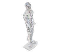 UTHCLO Traditional Chinese Acupuncture Model Male Body Acupoint Mannequin with Precise Pressure Point Mapping for Teaching Realistic Meridian Visualization Educational Tool for