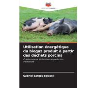 Utilisation énergétique du biogaz produit à partir des déchets porcins: Crédits carbone, biofertilisant et production d'électricité