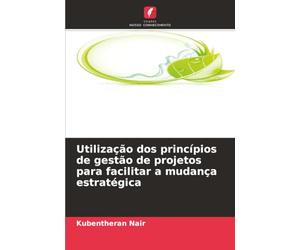 Utilização dos princípios de gestão de projetos para facilitar a mudança estratégica