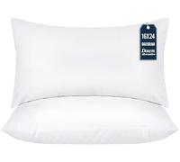 Utopia Bedding Throw Pillows Insert (Pack of 2, White) - 16 x 24 Inches Bed and Couch Pillows - Indoor Decorative Pillows