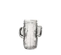 Utopia Cactus Jar 15.5oz / 410ml - Set of 6 - Mason Jars, Drinking Jars, Novelty Glasses, Glassware